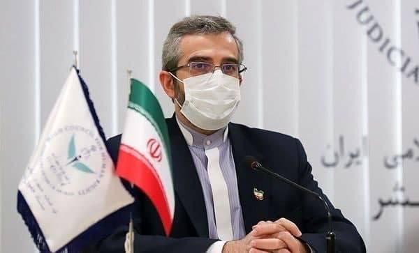 رییس‌ هیات مذاکره کننده ایران وارد وین شد